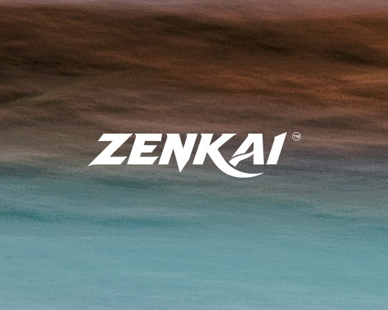 What Is ZENKAI?