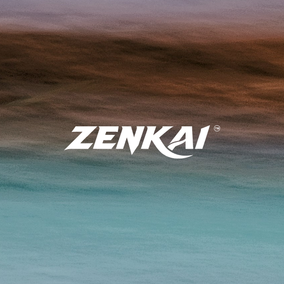 What Is ZENKAI?
